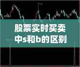 股票实时买卖中s和b的区别，s和b股票买卖中的意思 
