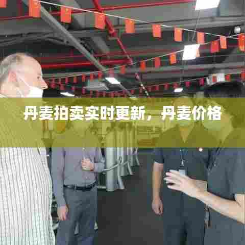 丹麦拍卖实时更新，丹麦价格 