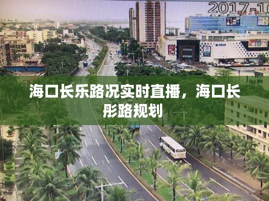 海口长乐路况实时直播，海口长彤路规划 