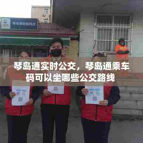 琴岛通实时公交，琴岛通乘车码可以坐哪些公交路线 