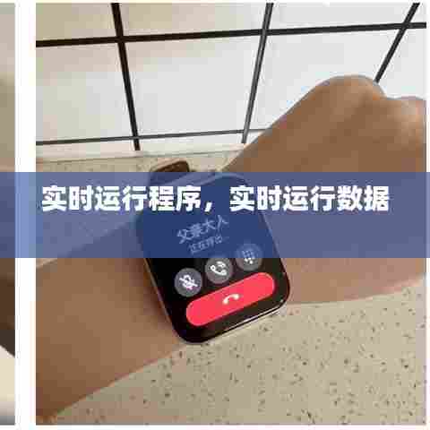 实时运行程序，实时运行数据 