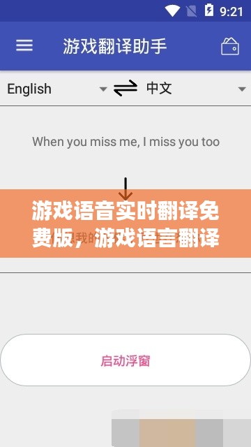游戏语音实时翻译免费版，游戏语言翻译器 