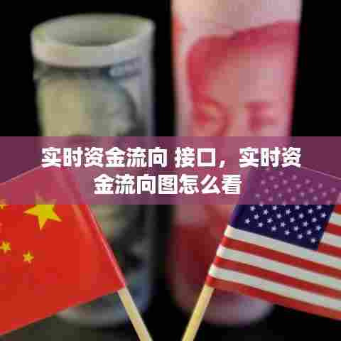 实时资金流向 接口,实时资金流向图怎么看