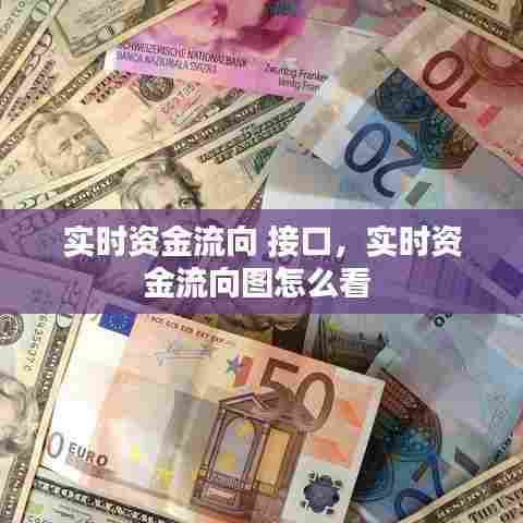 实时资金流向 接口,实时资金流向图怎么看