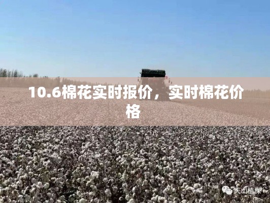 10.6棉花实时报价，实时棉花价格 