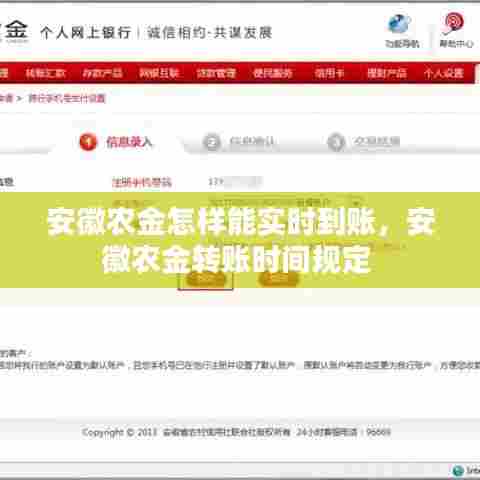 安徽农金怎样能实时到账，安徽农金转账时间规定 