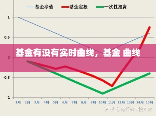 基金有没有实时曲线,基金 曲线