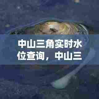 中山三角实时水位查询,中山三角供水公司电话