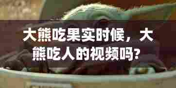 大熊吃果实时候，大熊吃人的视频吗? 