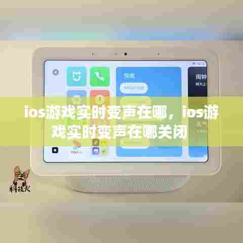 ios游戏实时变声在哪，ios游戏实时变声在哪关闭 