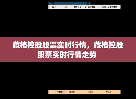 藏格控股股票实时行情,藏格控股股票实时行情走势