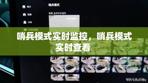 哨兵模式实时监控,哨兵模式实时查看