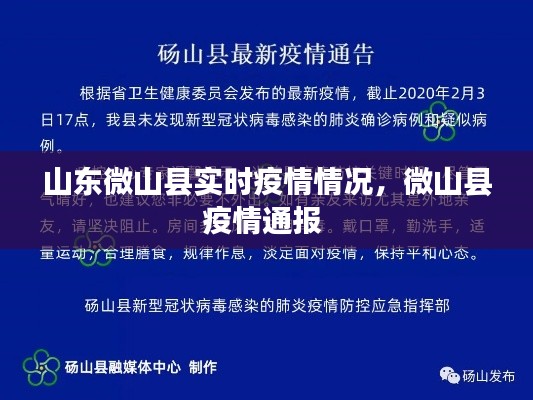 山东微山县实时疫情情况，微山县疫情通报 