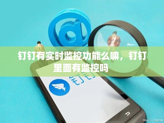 钉钉有实时监控功能么嘛，钉钉里面有监控吗 