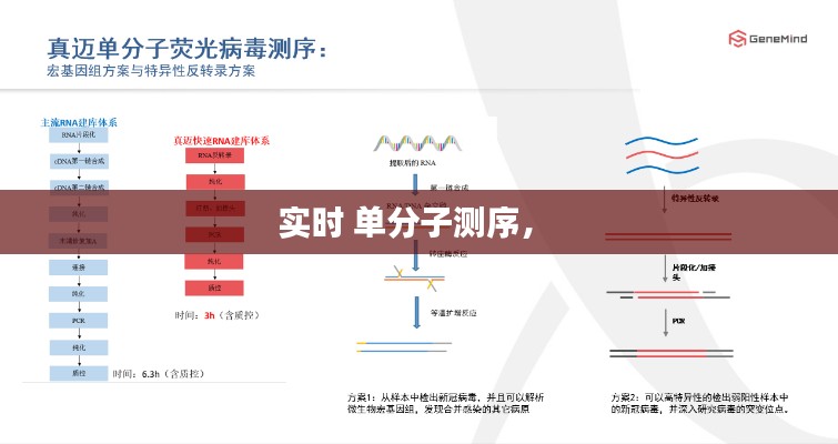 实时 单分子测序， 