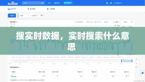 搜实时数据，实时搜索什么意思 