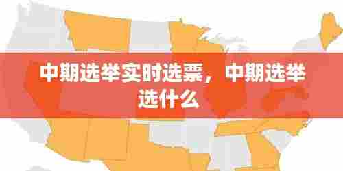 中期选举实时选票，中期选举选什么 