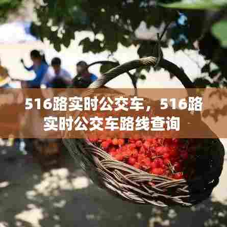 516路实时公交车,516路实时公交车路线查询