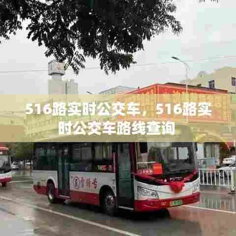 516路实时公交车,516路实时公交车路线查询