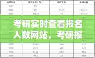 考研实时查看报名人数网站，考研报名人数查询系统 