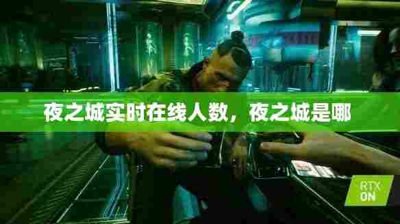 夜之城实时在线人数，夜之城是哪 