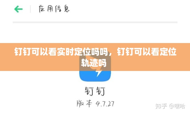 钉钉可以看实时定位吗吗,钉钉可以看定位轨迹吗