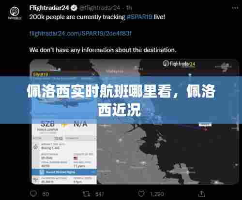 佩洛西实时航班哪里看，佩洛西近况 