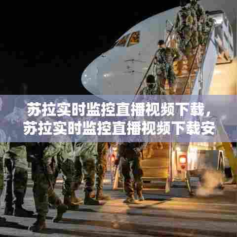 服务项目 第381页