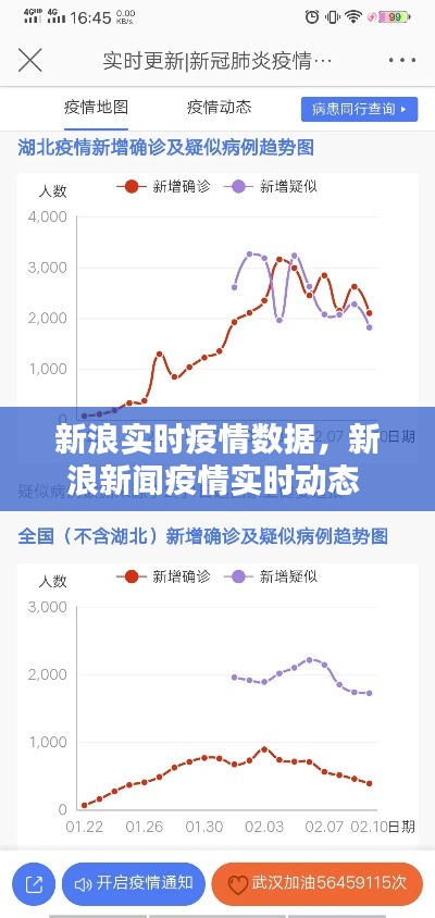 新浪实时疫情数据,新浪新闻疫情实时动态
