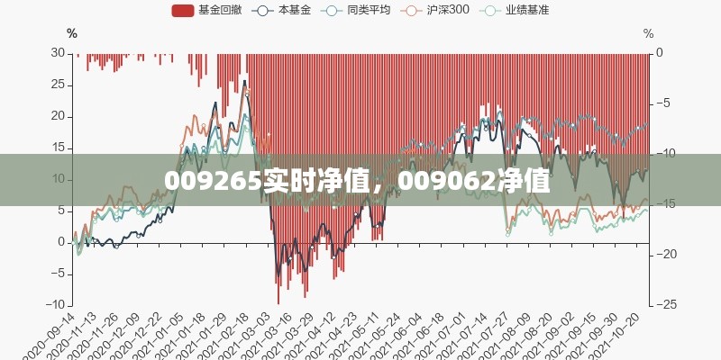 009265实时净值,009062净值