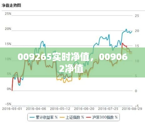 009265实时净值,009062净值