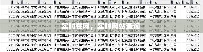 实时在网，实时网站查询 