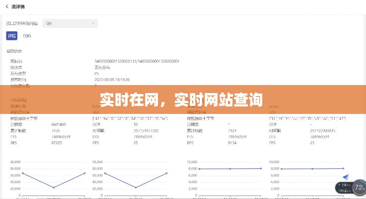 实时在网,实时网站查询