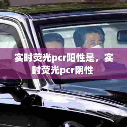 实时荧光pcr阳性是,实时荧光pcr阴性