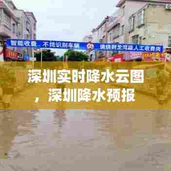 深圳实时降水云图,深圳降水预报