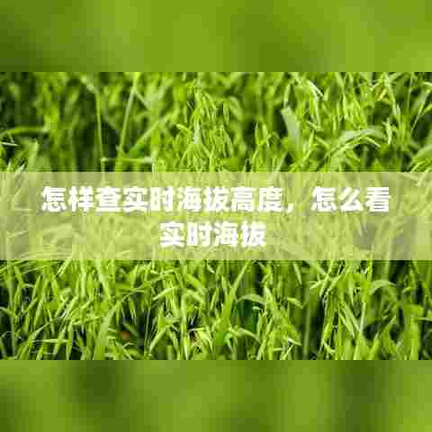 怎样查实时海拔高度,怎么看实时海拔