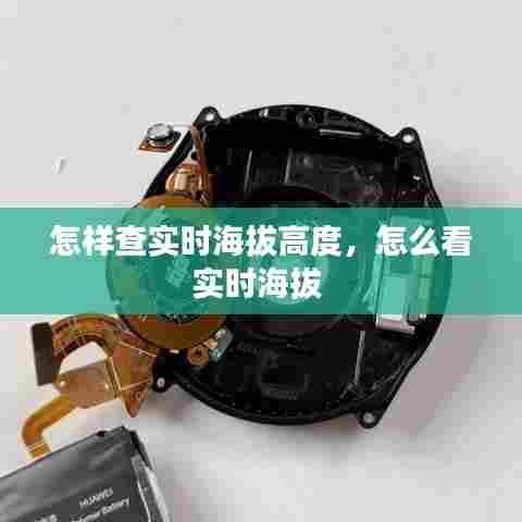 怎样查实时海拔高度,怎么看实时海拔