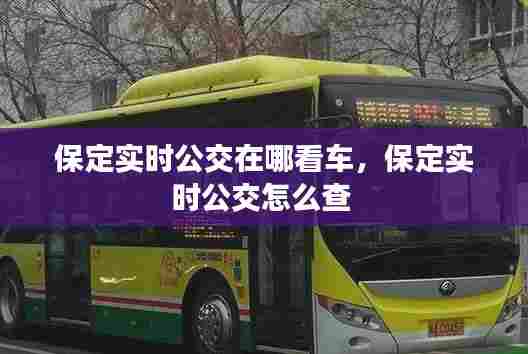 保定实时公交在哪看车,保定实时公交怎么查