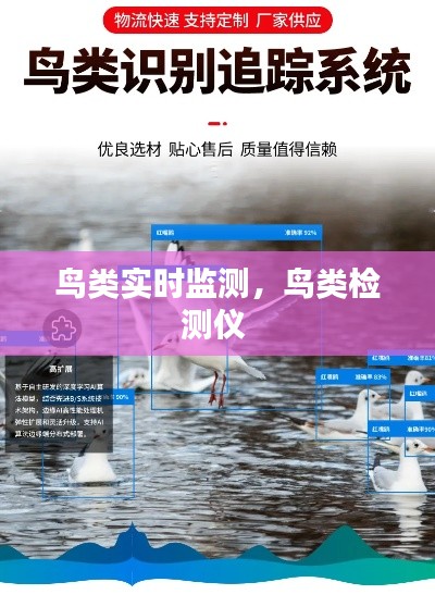 关于我们 第386页