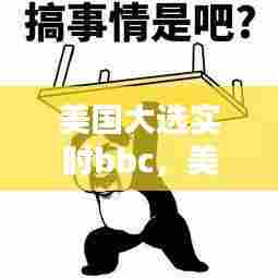 美国大选实时bbc，美国大选实时地图 