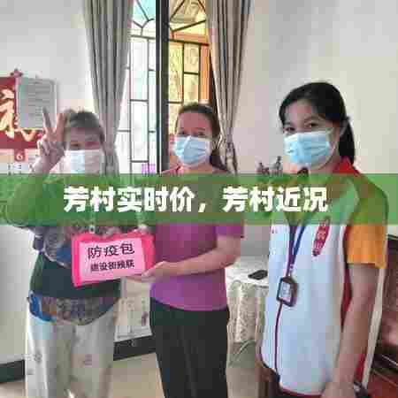芳村实时价,芳村近况