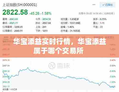 华宝添益实时行情,华宝添益属于哪个交易所