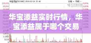 华宝添益实时行情,华宝添益属于哪个交易所