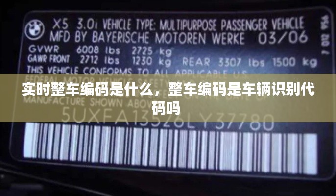实时整车编码是什么，整车编码是车辆识别代码吗 