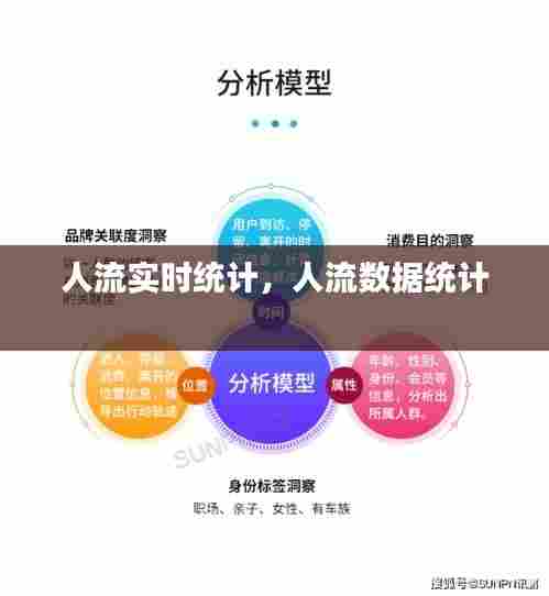 人流实时统计，人流数据统计 