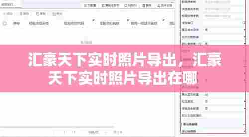 汇豪天下实时照片导出，汇豪天下实时照片导出在哪 