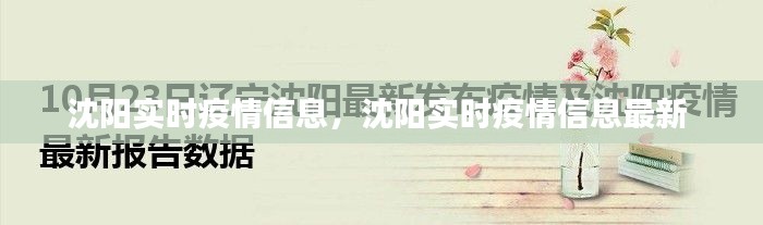 沈阳实时疫情信息，沈阳实时疫情信息最新 