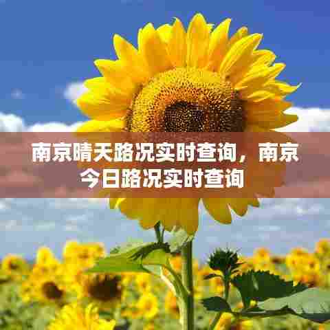 南京晴天路况实时查询,南京今日路况实时查询