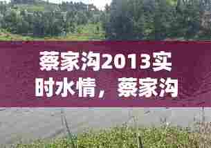 蔡家沟2013实时水情，蔡家沟水库能不能钓鱼 