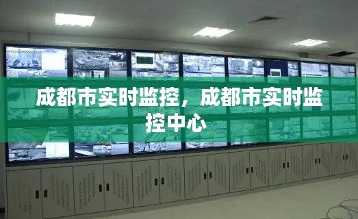 成都市实时监控,成都市实时监控中心